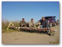 Minnesota Duck Hunting 
