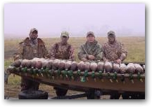 Minnesota Greenheads 