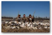 A pile of Snows in Arkansas 