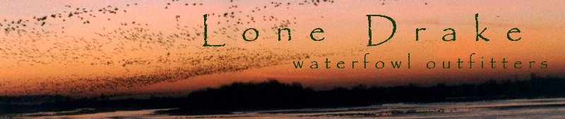 Lone Drake Waterfowl Outfitters logo
